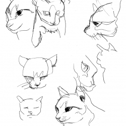 Life drawings of a cat in ink