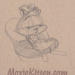 Moxie Kitten snoozin' on a chair