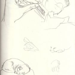 Sketches of hands and my cat