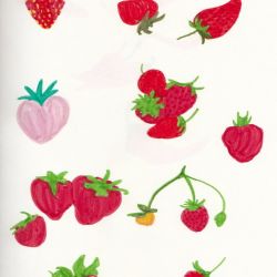 Strawberries in marker